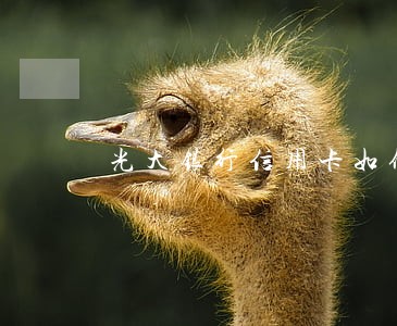 光大银行信用卡如何逾期