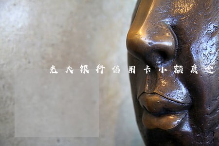 光大银行信用卡小额度逾期 光大银行信用卡小额度逾期