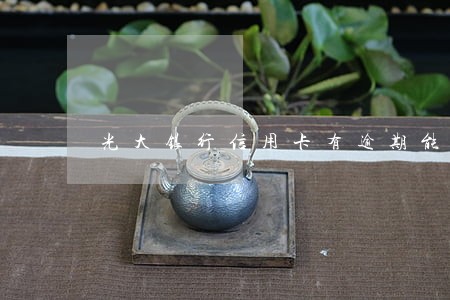 光大银行信用卡有逾期能协商吗
