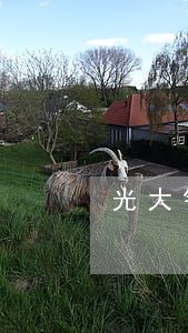 光大银行信用卡欠了五万逾期 光大银行信用卡欠了五万逾期