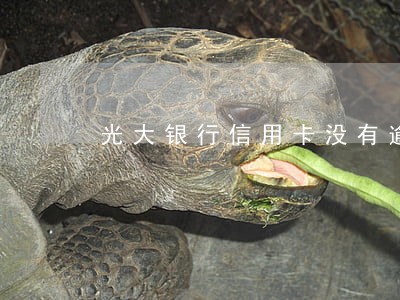 光大银行信用卡没有逾期记录 光大银行信用卡没有逾期记录