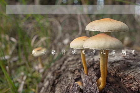 光大银行信用卡没逾期可以协商吗