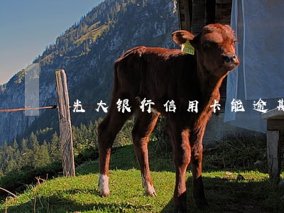 光大银行信用卡能逾期几天