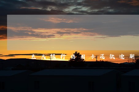 光大银行信用卡还款逾期一天