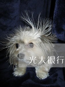 光大银行信用卡还款逾期两天 光大银行信用卡还款逾期两天
