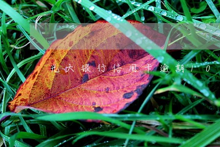 光大银行信用卡逾期10几天 光大银行信用卡逾期10几天