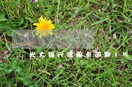 光大银行信用卡逾期15天