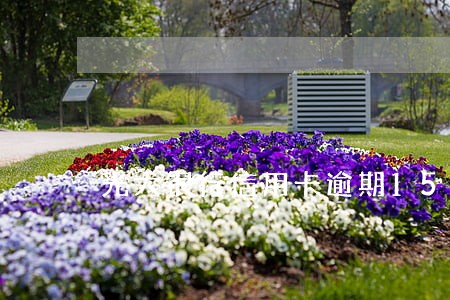 光大银行信用卡逾期15天后果