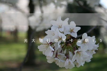 光大银行信用卡逾期15天还款了 光大银行信用卡逾期15天还款了
