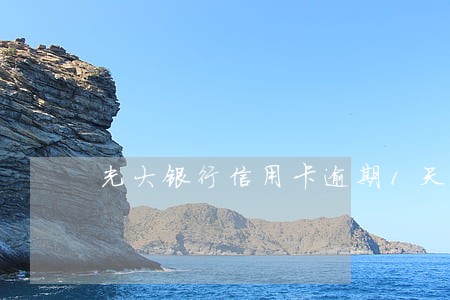 光大银行信用卡逾期1天 光大银行信用卡逾期1天