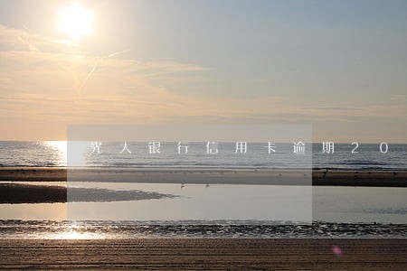 光大银行信用卡逾期2019 光大银行信用卡逾期2019