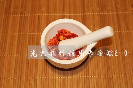 光大银行信用卡逾期20个月 光大银行信用卡逾期20个月