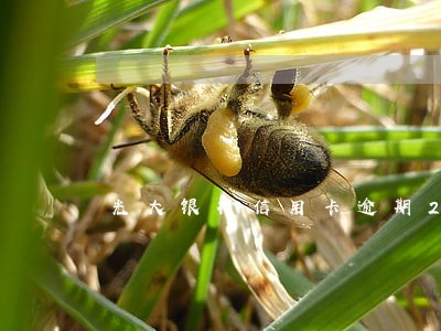 光大银行信用卡逾期2年 光大银行信用卡逾期2年