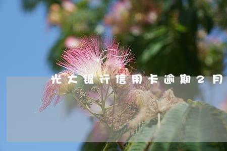 光大银行信用卡逾期2月上门