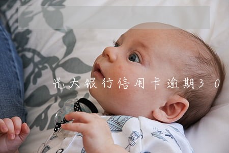 光大银行信用卡逾期30万 光大银行信用卡逾期30万