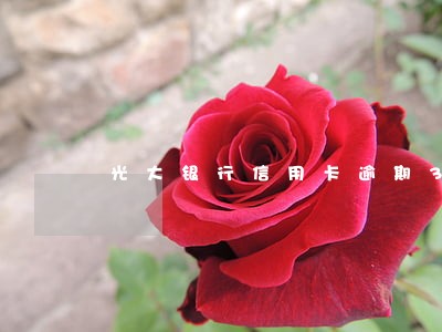 光大银行信用卡逾期3月 光大银行信用卡逾期3月