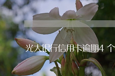 光大银行信用卡逾期4个月