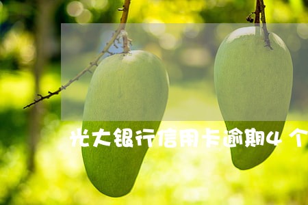 光大银行信用卡逾期4个月啦