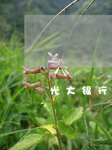 光大银行信用卡逾期ETC 光大银行信用卡逾期ETC