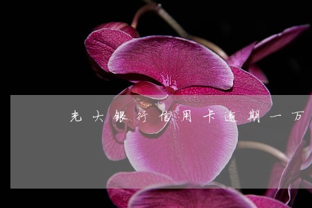 光大银行信用卡逾期一万一千4 光大银行信用卡逾期一万一千4
