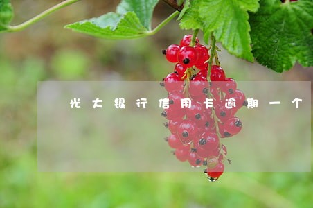 光大银行信用卡逾期一个月了还款 光大银行信用卡逾期一个月了还款