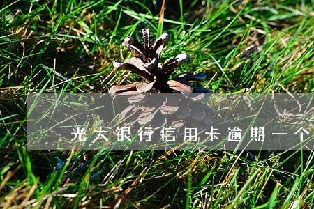 光大银行信用卡逾期一个月后果 光大银行信用卡逾期一个月后果