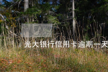 光大银行信用卡逾期一天还多少 光大银行信用卡逾期一天还多少
