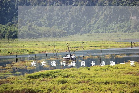 光大银行信用卡逾期一天限额多少