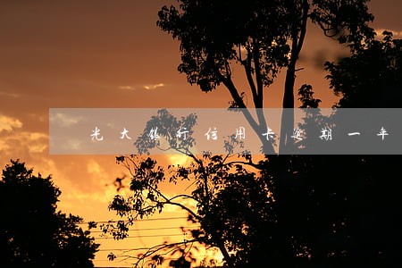 光大银行信用卡逾期一年一万