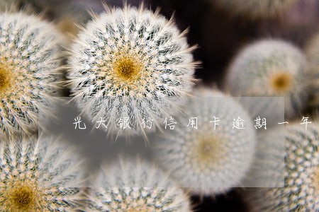 光大银行信用卡逾期一年多了 光大银行信用卡逾期一年多了