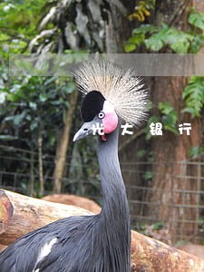 光大银行信用卡逾期一年怎么办 光大银行信用卡逾期一年怎么办