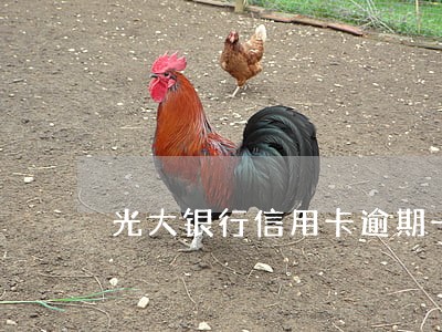 光大银行信用卡逾期一年还多少钱 光大银行信用卡逾期一年还多少钱