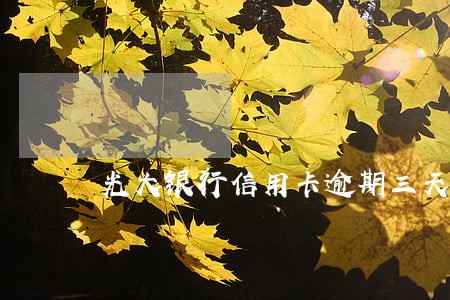 光大银行信用卡逾期三天 光大银行信用卡逾期三天