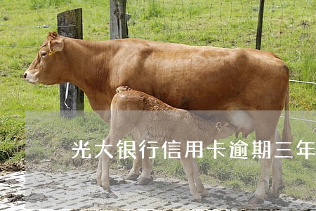 光大银行信用卡逾期三年怎么样 光大银行信用卡逾期三年怎么样