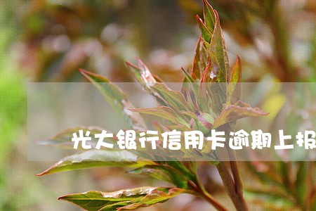光大银行信用卡逾期上报公安网 光大银行信用卡逾期上报公安网