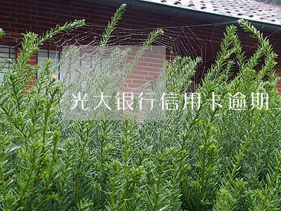 光大银行信用卡逾期上门找人 光大银行信用卡逾期上门找人