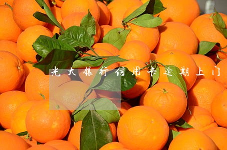 光大银行信用卡逾期上门贴条 光大银行信用卡逾期上门贴条