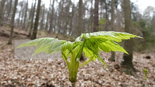 光大银行信用卡逾期了400 光大银行信用卡逾期了400
