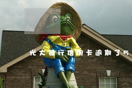 光大银行信用卡逾期了5天 光大银行信用卡逾期了5天