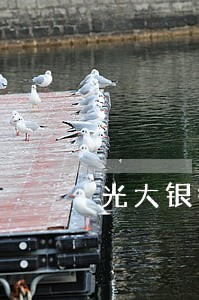 光大银行信用卡逾期了9个月 光大银行信用卡逾期了9个月