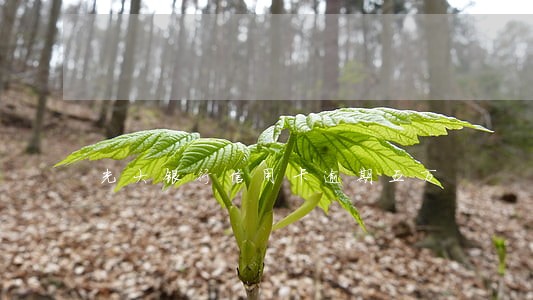 光大银行信用卡逾期五万