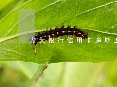 光大银行信用卡逾期五天 光大银行信用卡逾期五天