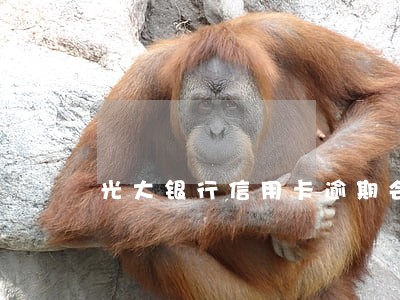 光大银行信用卡逾期会全额还款吗 光大银行信用卡逾期会全额还款吗