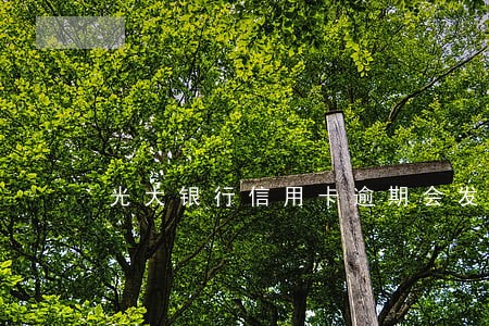 光大银行信用卡逾期会发传票吗 光大银行信用卡逾期会发传票吗