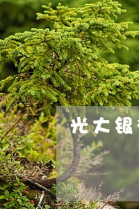 光大银行信用卡逾期会抓的吗