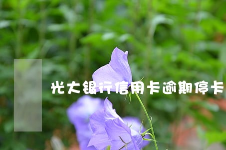 光大银行信用卡逾期停卡 光大银行信用卡逾期停卡