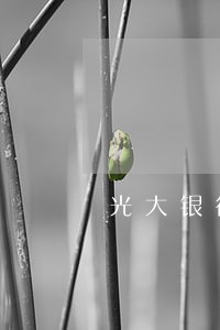 光大银行信用卡逾期六天 光大银行信用卡逾期六天