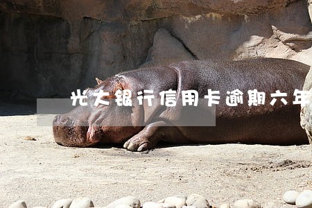 光大银行信用卡逾期六年多少钱 光大银行信用卡逾期六年多少钱