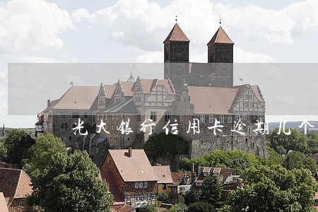光大银行信用卡逾期几个月 光大银行信用卡逾期几个月