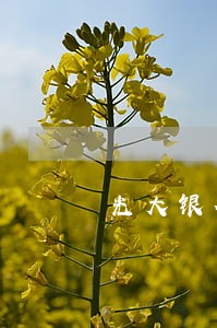 光大银行信用卡逾期几个月了 光大银行信用卡逾期几个月了